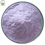 Purple Cabbage Powder Factory - Purple Cabbage Extract Powder