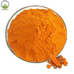 Turmeric Curcumin Supplier - 95% Curcumin Raw Material CAS