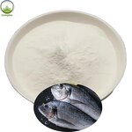 Fish Collagen Peptide Factory - Fish Maw Protein Supplement