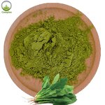 Spinach Powder Supplier - Dry Spinach Extract Powder