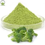 Broccoli Powder Factory - Bulk Organic Extraction