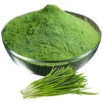 Leek Powder Factory - Dried Leek Powder Manufacturer