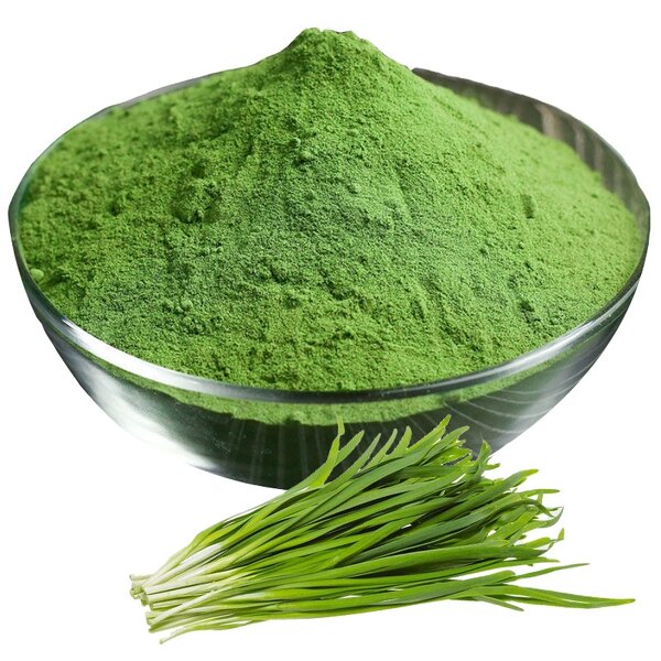 Leek Powder Factory - Dried Leek Powder Manufacturer