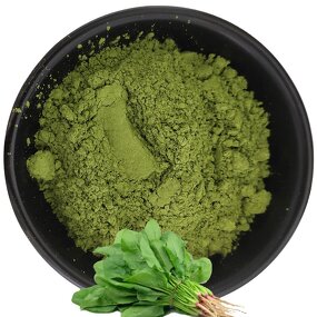 Spinach Powder Supplier - Dry Spinach Extract Powder