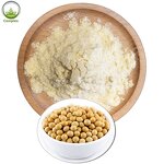 Soy Protein Isolate Powder Factory - Soy Milk Powder