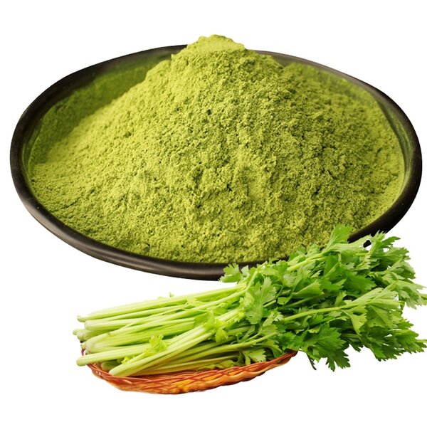 Celery Powder Supplier - Dry Dehydrated Celery Powder