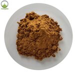 Epimedium Extract Powder Factory - Icariin for Men