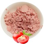 Tomato Ketchup Powder Factory - Spray Dried Seasoning Powder