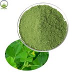 Alfalfa Powder Manufacturer - Natural Food Supplement Organic