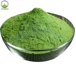 Leek Powder Factory - Dried Leek Powder Manufacturer