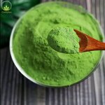 Leek Powder Factory - Dried Leek Powder Manufacturer