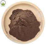 Hojicha Tea Powder Manufacturer - Pure Natural Reasonable Price