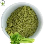 Celery Juice Powder Factory - Food Grade Natural Organic