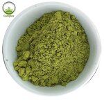 Barley Grass Extract Powder Supplier - Green Barley Grass Powder