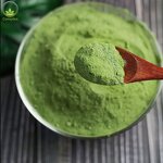 Spinach Powder Supplier - Dry Spinach Extract Powder