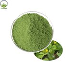 Alfalfa Powder Manufacturer - Natural Food Supplement Organic