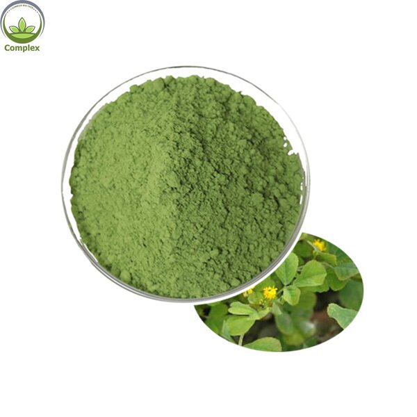 Alfalfa Powder Manufacturer - Natural Food Supplement Organic