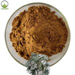 Epimedium Extract Powder Factory - Icariin for Men
