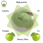 Green Apple Peel Powder Manufacturer - Natural Organic Instant