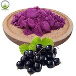 Maqui Berry Powder Manufacturer - Organic Freeze Dried Bulk