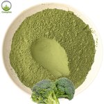 Broccoli Powder Factory - Bulk Organic Extraction