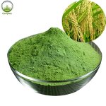 Barley Grass Powder Manufacturer - Organic Spray Dried