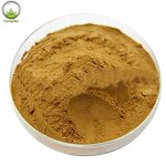 Camu Camu Powder Supplier - 100% High Quality Camu Powder