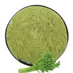 Celery Juice Powder Factory - Food Grade Natural Organic