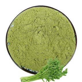 Celery Juice Powder Factory - Food Grade Natural Organic