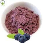 Blueberry Extract Powder Factory - Natural Wild Fruit Powder
