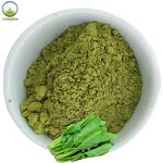 Spinach Powder Supplier - Dry Spinach Extract Powder