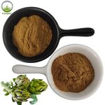 Artichoke Leaf Extract Powder Factory - 5% Cynarin Free Sample