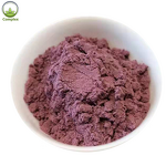 Blueberry Powder Manufacturer - Bulk Extract Powder
