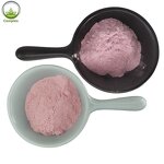 Cherry Blossom Powder Manufacturer - Sakura Powder Natural