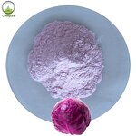 Purple Cabbage Powder Factory - Purple Cabbage Extract Powder
