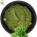 Celery Powder Supplier - Dry Dehydrated Celery Powder