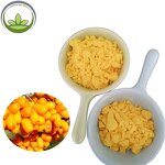 Seabuckthorn Powder Supplier - Freeze Dried Berry Juice Powder