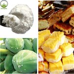 Papain Powder Supplier - Papaya Enzyme Powder Organic