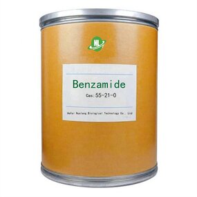 Benzamide Powder Supplier - CAS 55-21-0 for Synthetic Medicine