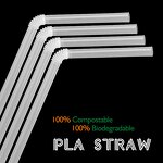 PLA Granules Manufacturer - Biodegradable Plastic Raw Material