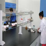 Gallnut Extract Supplier - 98% Gallic Acid CAS 149-91-7