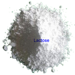 Lactose Powder Manufacturer - Shaping Agent Dispersant CAS 63-42-3
