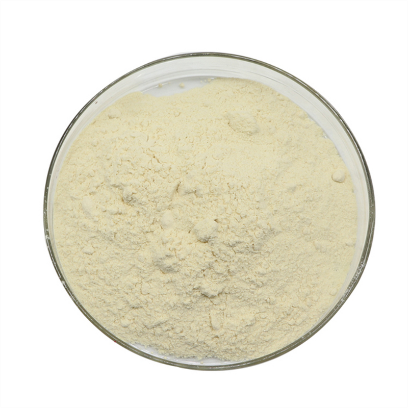 Gallnut Extract Supplier - 98% Gallic Acid CAS 149-91-7