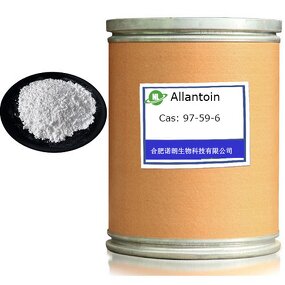 Allantoin Powder Manufacturer - Daily Chemical Fine Chemical CAS