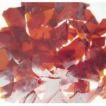 Shellac Flake Supplier - Natural Resin with CAS 9000-59-3