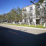 Allantoin Powder Manufacturer - High Purity White for Cosmetic