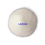Lactose Powder Supplier - Food Grade Sweetener Nutrition Supplement