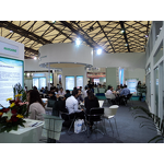 Dimethyl Sulfoxide Manufacturer - High Purity DMSO Solvent CAS