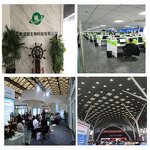 Zein Powder Factory - High Purity Corn Protein CAS 9010-66-6