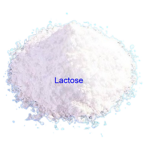 Lactose Anhydrous Factory - Food Additive for Calcium Absorption